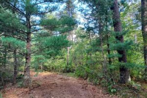 Wisconsin land for sale near Roche-A-Cri State Park