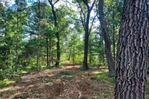 Wisconsin land for sale near Roche-A-Cri State Park