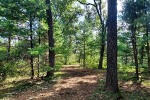 Wisconsin land for sale near Roche-A-Cri State Park