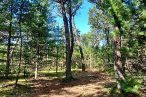 Wisconsin land for sale near Roche-A-Cri State Park