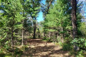 Wisconsin land for sale near Roche-A-Cri State Park