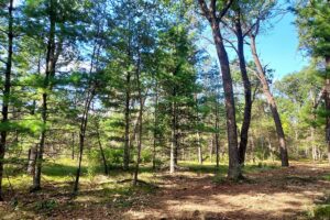 Wisconsin land for sale near Roche-A-Cri State Park