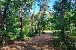 Adams County, WI land for sale near Wisconsin Dells