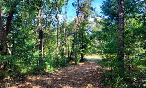 Adams County, WI land for sale near Wisconsin Dells