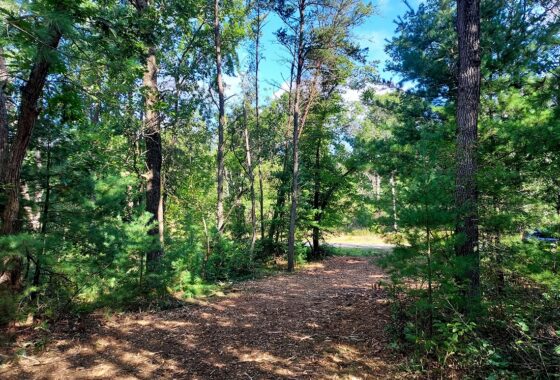 Adams County, WI land for sale near Wisconsin Dells