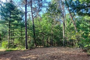 Adams County, WI land for sale near Wisconsin Dells