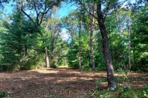 Adams County, WI land for sale near Wisconsin Dells
