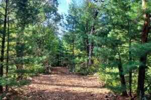 Adams County, WI land for sale near Wisconsin Dells