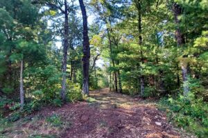 Adams County, WI land for sale near Wisconsin Dells