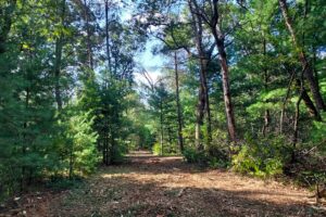 Adams County, WI land for sale near Wisconsin Dells