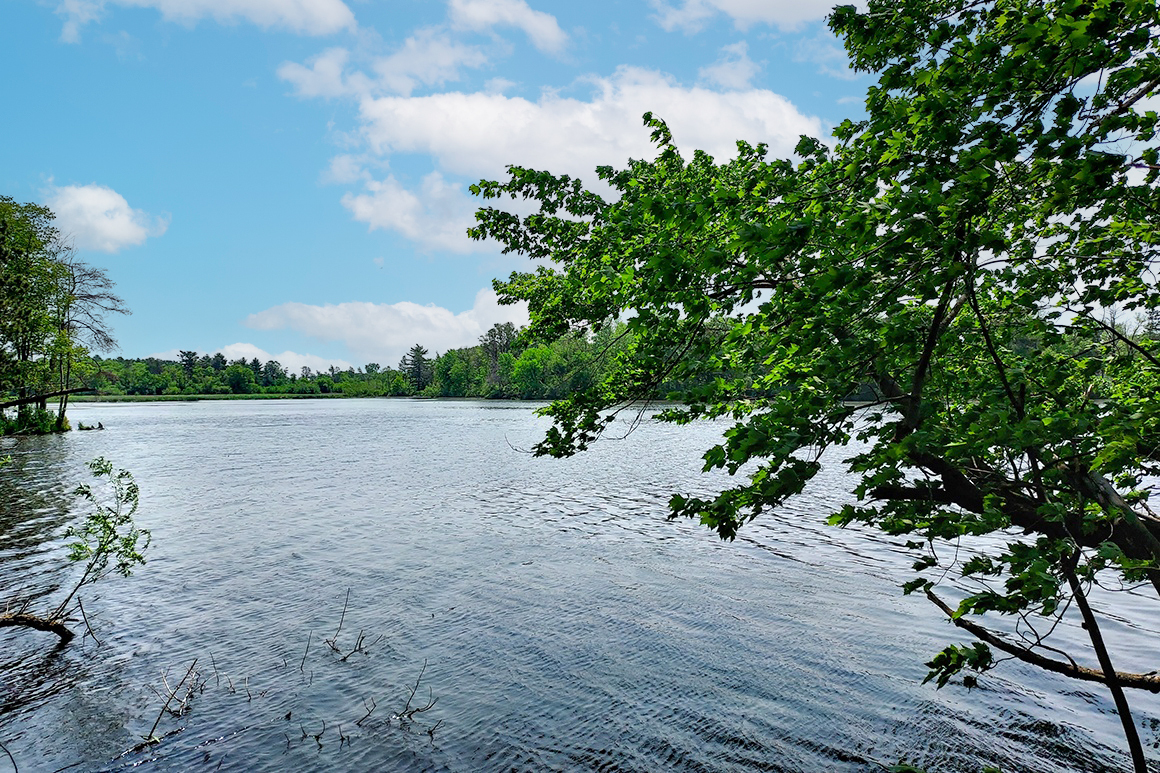 Southwest Wisconsin Lake Properties Now For Sale!