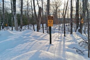 Land For Sale Bordering Chequamegon National Forest