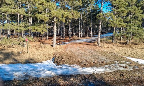 Wooded Acreage For Sale near Lake Petenwell and Rome, WI