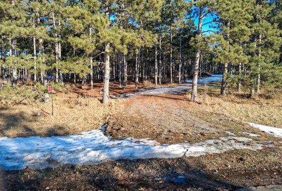 Wooded Acreage For Sale near Lake Petenwell and Rome, WI