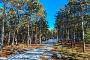 Wooded Acreage For Sale near Lake Petenwell and Rome, WI