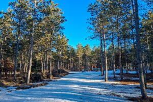 Wooded Acreage For Sale near Lake Petenwell and Rome, WI