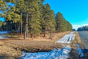 Wooded Acreage For Sale near Lake Petenwell and Rome, WI