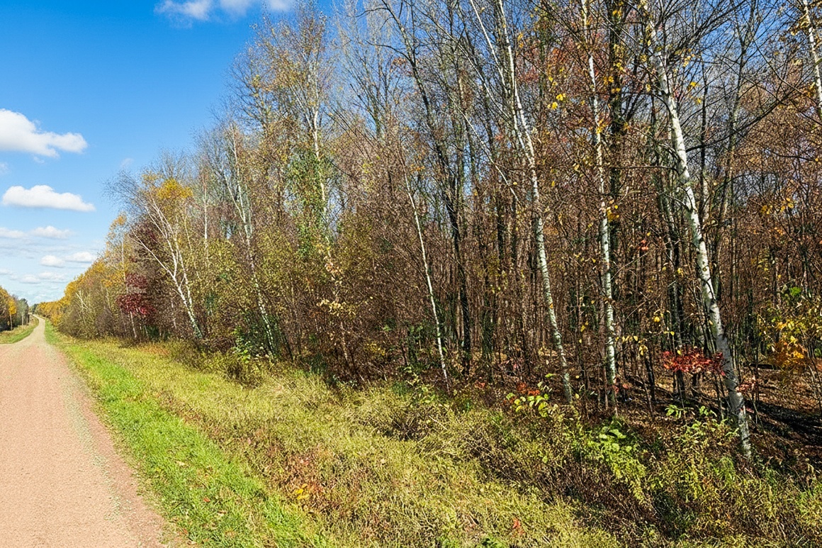 Buildable land for sale in Prentice, WI