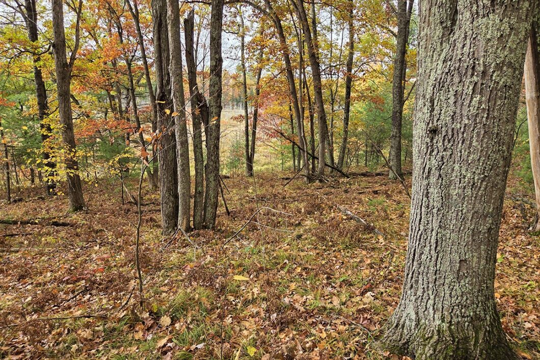 Marinette County recreational land for sale