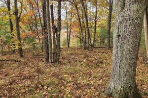 Marinette County recreational land for sale