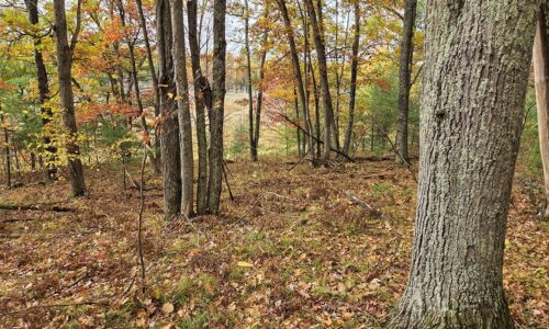 Marinette County recreational land for sale