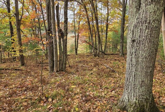Marinette County recreational land for sale