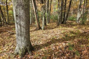 Marinette County recreational land for sale