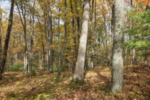 Marinette County recreational land for sale