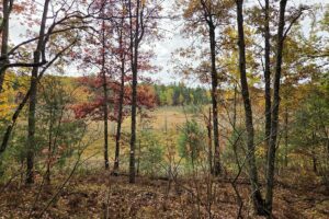 Marinette County recreational land for sale
