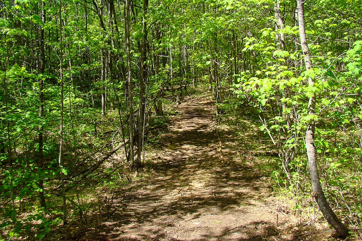 Lake Nokomis Area Acreage!