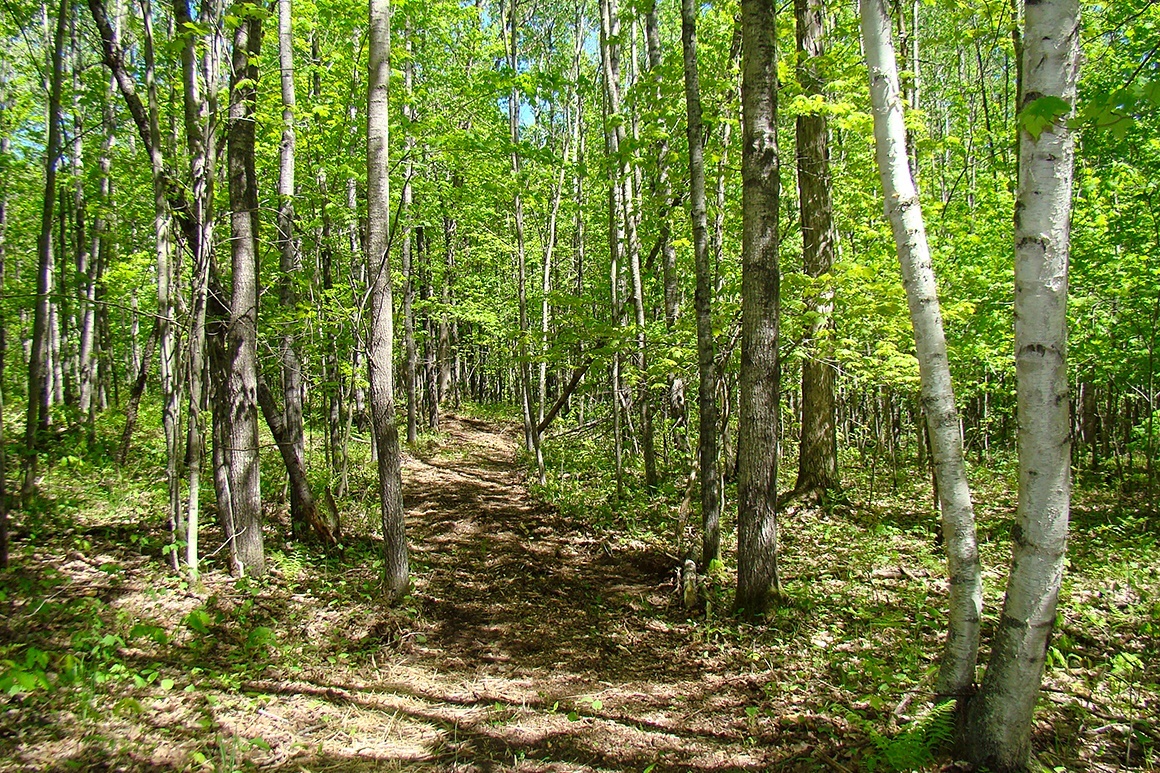 Lake Nokomis Area Acreage!