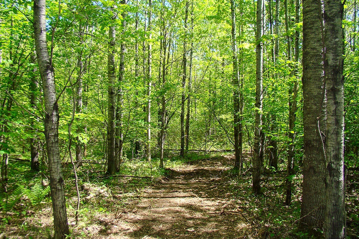 Lake Nokomis Area Acreage!
