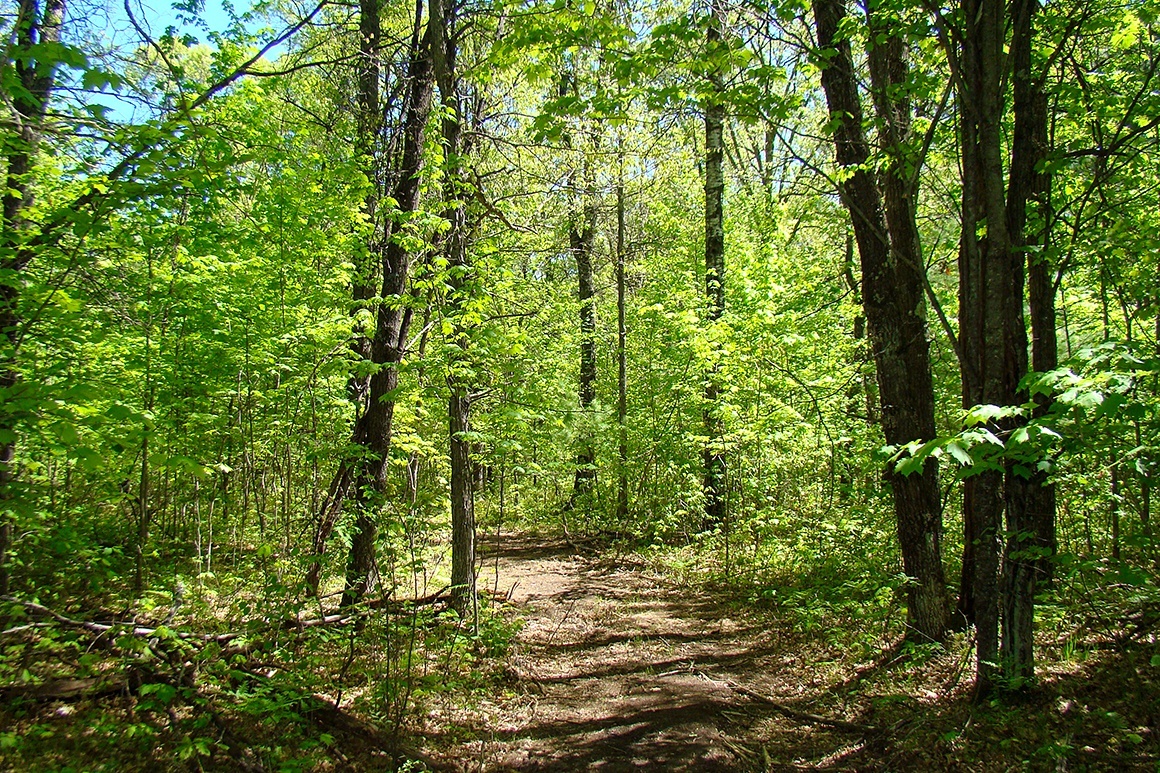 Lake Nokomis Area Acreage!