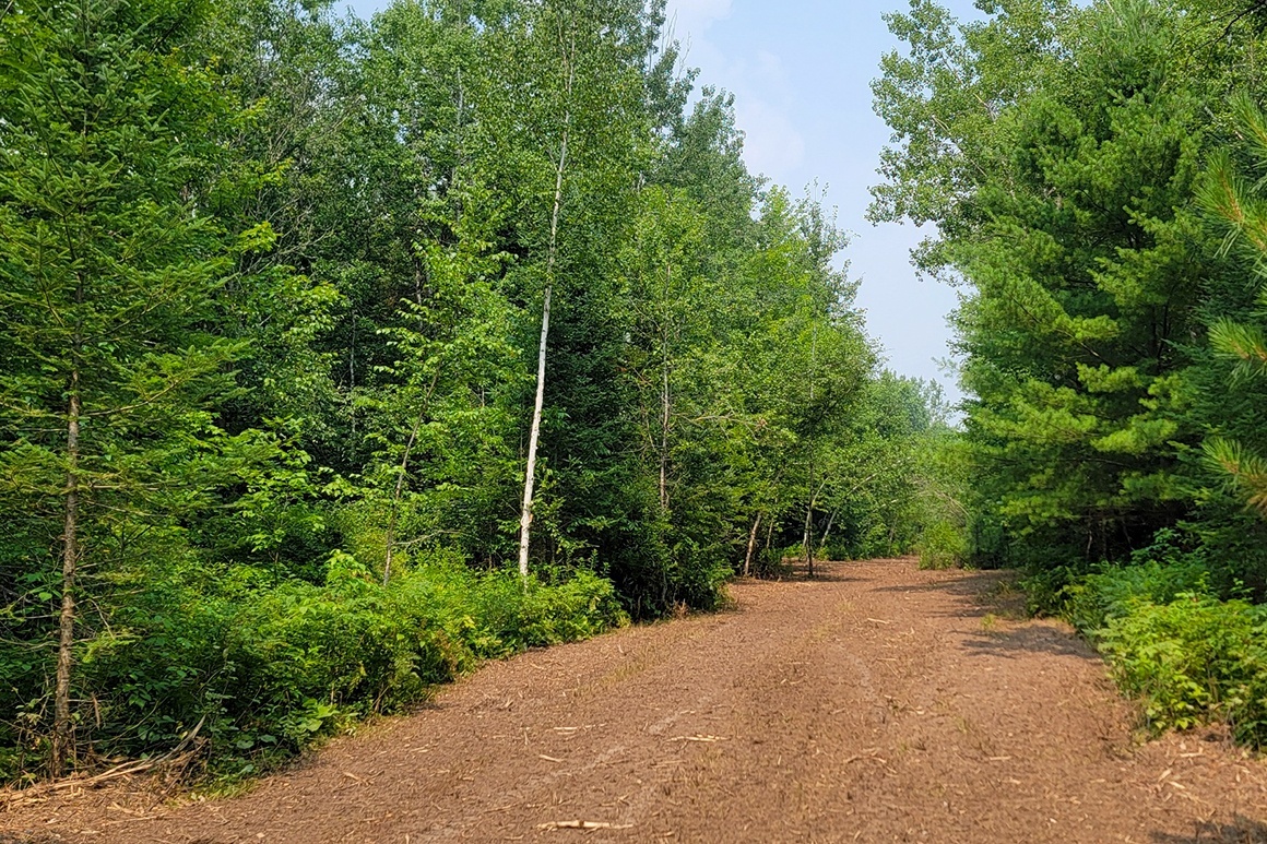 Secluded Land near Big Chetac Lake!
