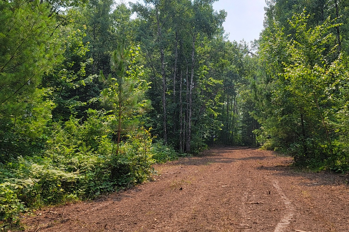 Secluded Land near Big Chetac Lake!