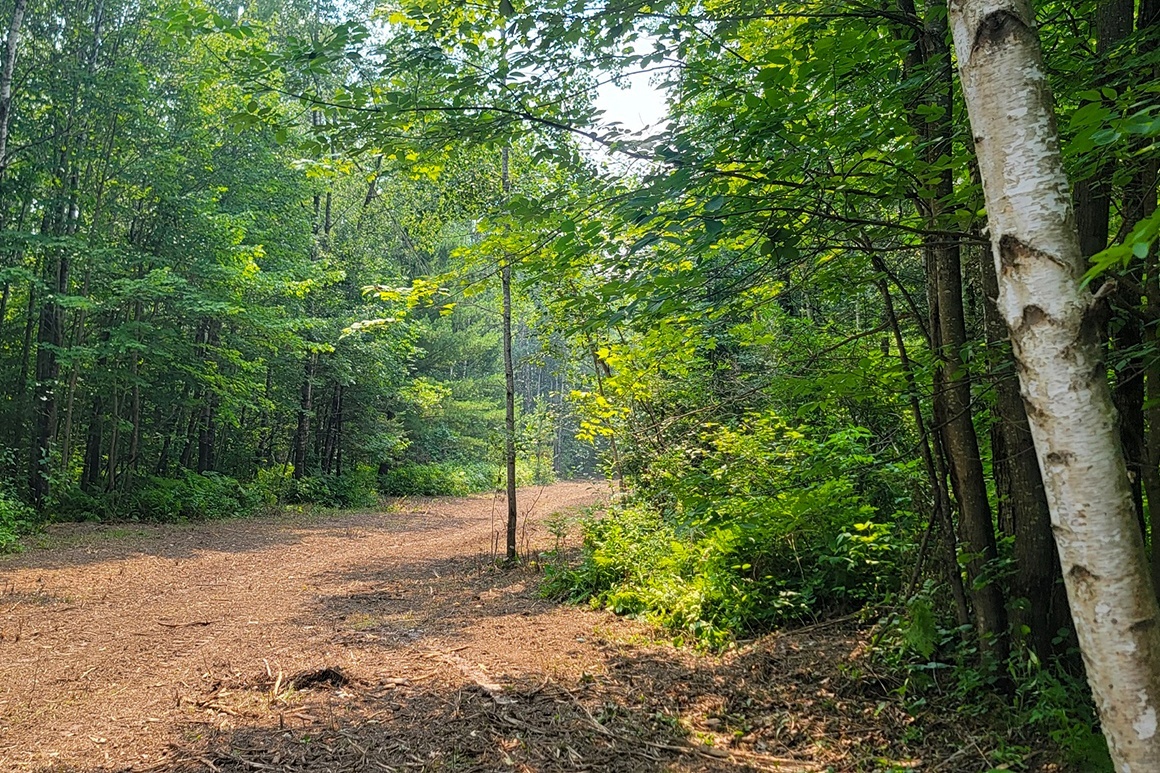 Secluded Land near Big Chetac Lake!