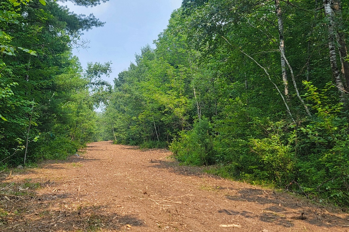 Northwest WI Land near Tuscobia State Trail!