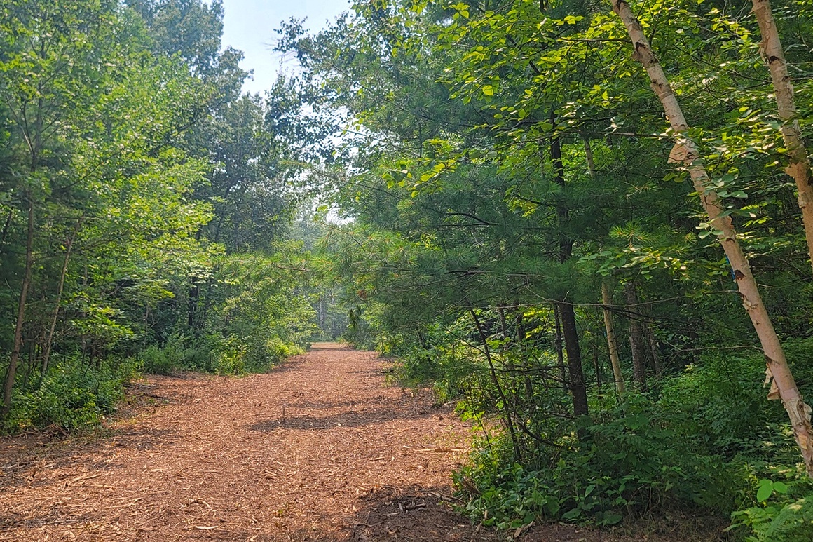 Northwest WI Land near Tuscobia State Trail!