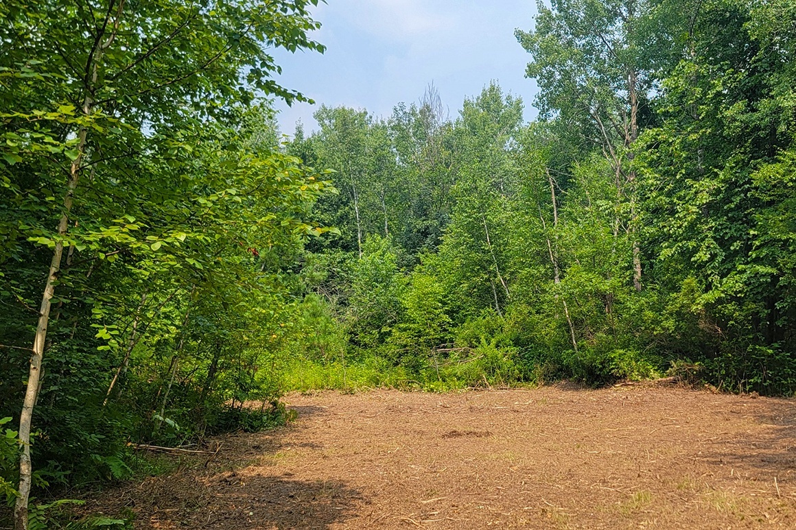 Northwest WI Land near Tuscobia State Trail!