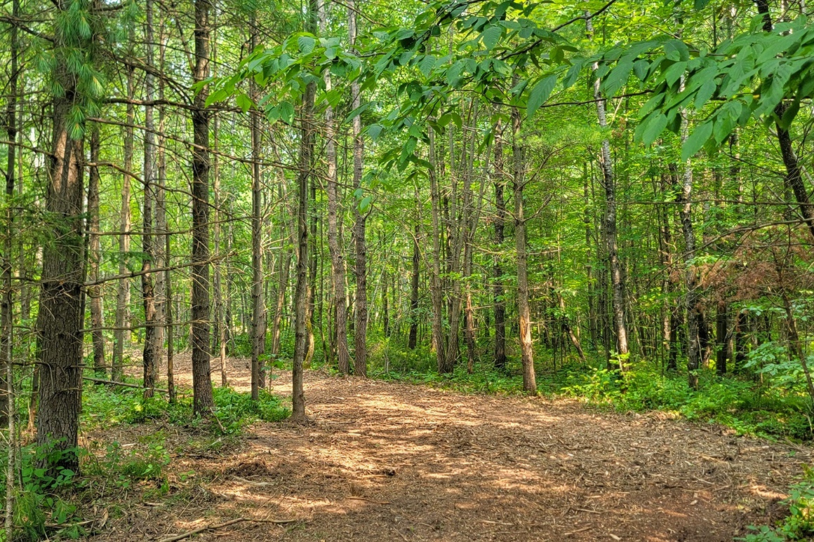 Northwest WI Land near Tuscobia State Trail!