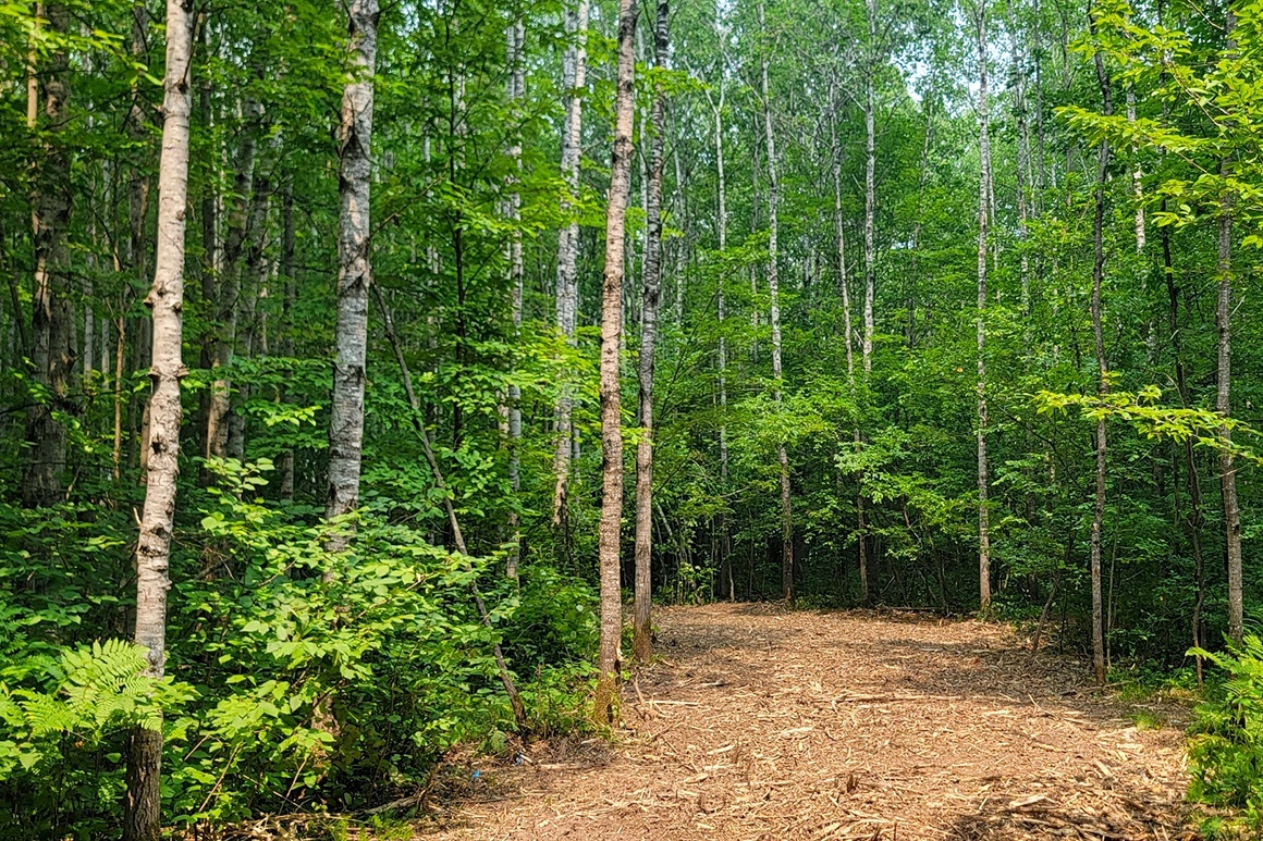 Northwest WI Land near Tuscobia State Trail!