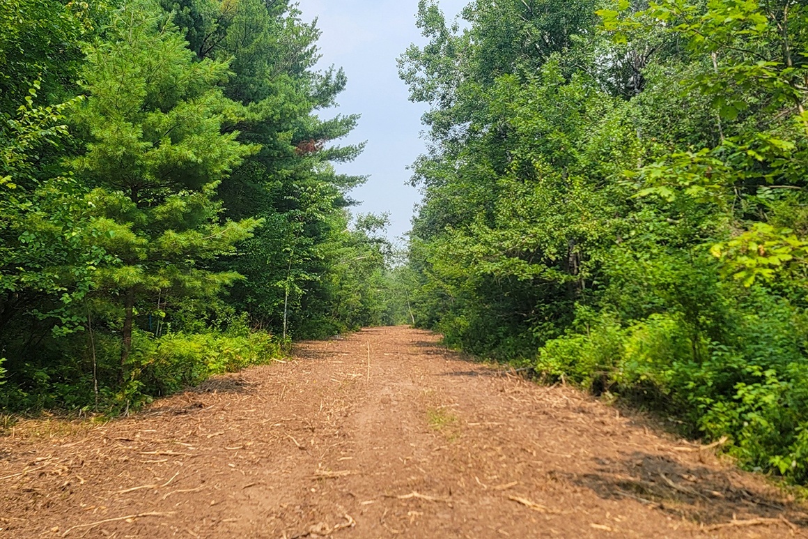 Northwest WI Land near Tuscobia State Trail!