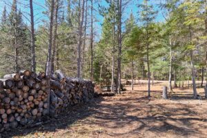 Wooded 8-acre property for sale in Rhinelander with mature trees, direct access to adjoining Wisconsin State Land, and 30x50 concrete pad ready for construction.