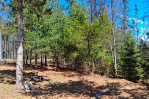 Wooded 8-acre property for sale in Rhinelander with mature trees, direct access to adjoining Wisconsin State Land, and 30x50 concrete pad ready for construction.
