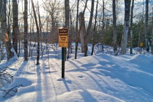 Wooded property near Winter, WI, with rolling terrain, mature trees, and road access. Close to Fishtrap Lake, Chippewa Flowage, and thousands of acres of national forest