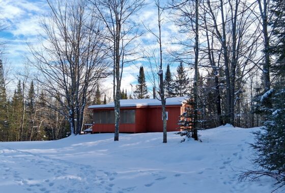 northwest WI 4.2-acre wooded 2 bedroom cabin property for sale in Sawyer County, WI