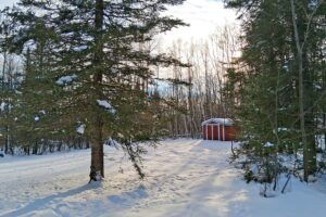 northwest WI 4.2-acre wooded 2 bedroom cabin property for sale in Sawyer County, WI
