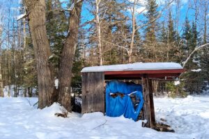 northwest WI 4.2-acre wooded 2 bedroom cabin property for sale in Sawyer County, WI