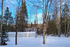 northwest WI 4.2-acre wooded 2 bedroom cabin property for sale in Sawyer County, WI