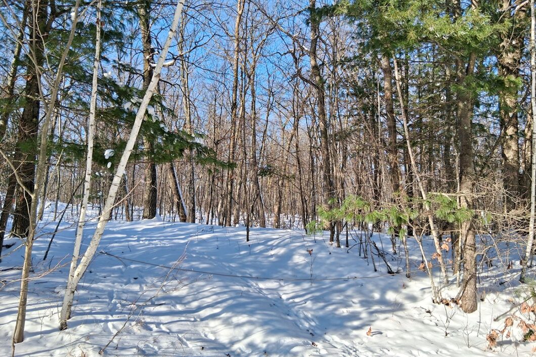 Northern Wisconsin Land For Sale Adjoining National Forest